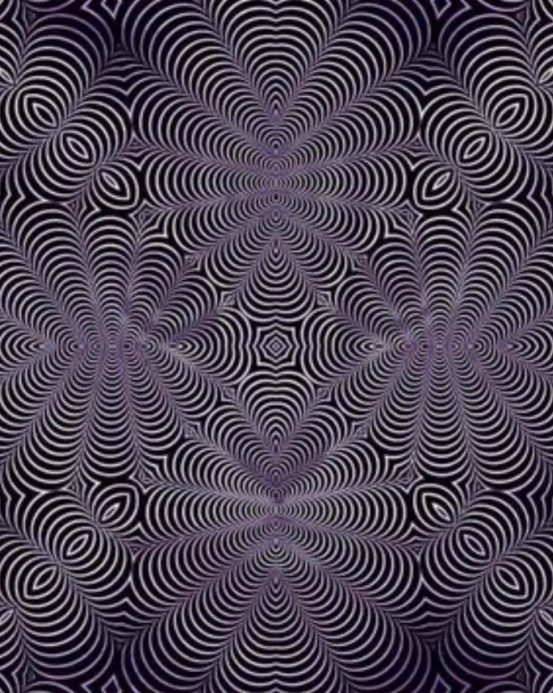 Nájdete do 10 sekúnd v tejto optickej ilúzií dve zvieratá?