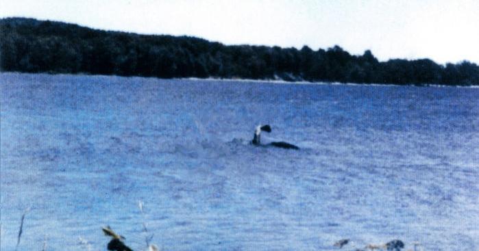 Netvor z Champlainovho jazera