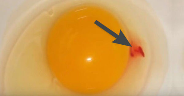 Ak niekedy uvidíte túto červenú škvrnu po rozbití vajíčka, mali by ste si dať pozor