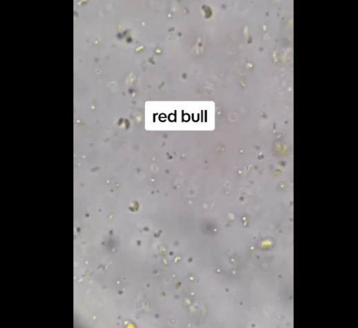 Muž použil mikroskop, aby zistil čo sa vlastne nachádza v nápoji Red Bull